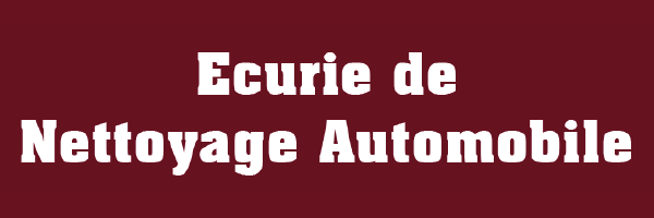 Ecurie-de-Nettoyage-Automobile-Logo